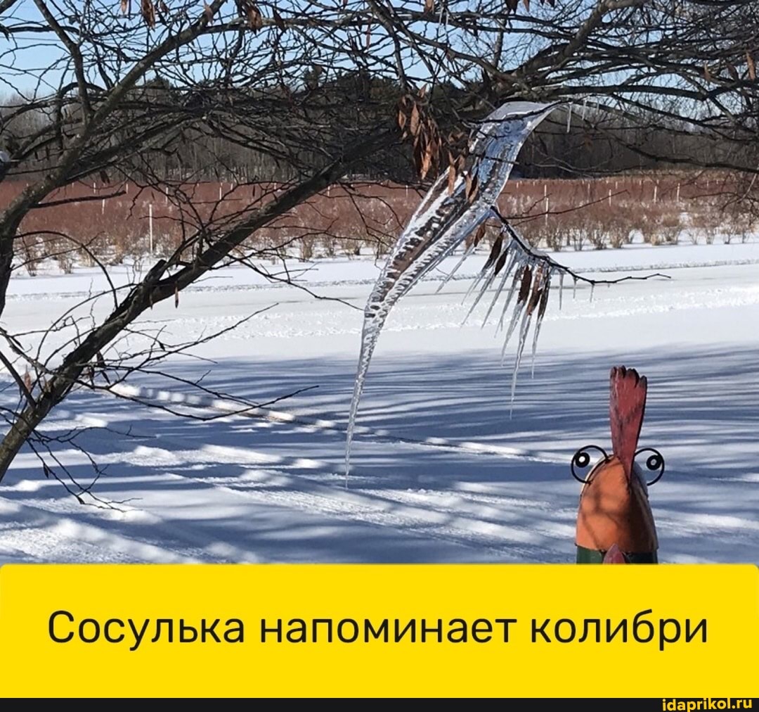 Сосулька напоминает колибри