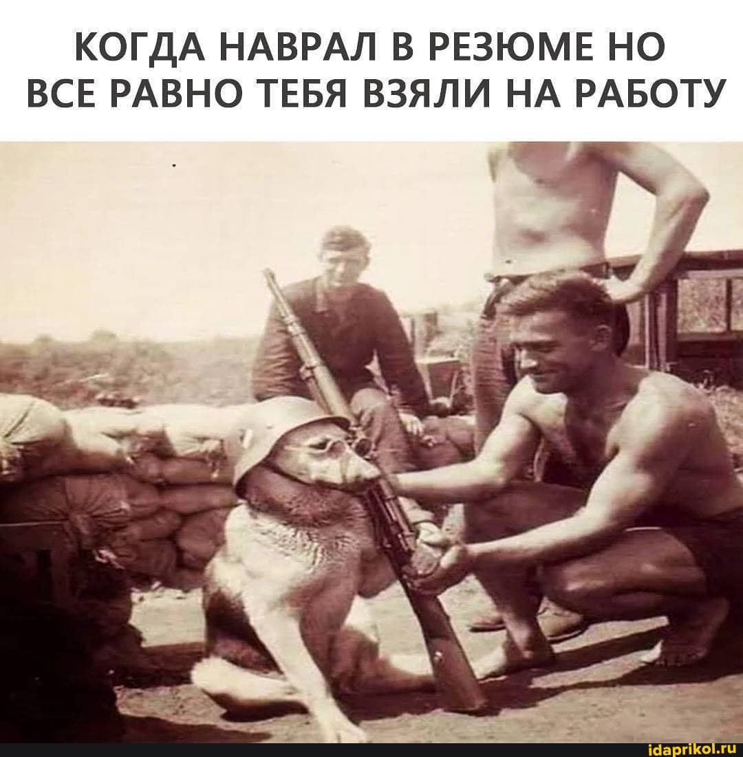 КОГДА НАВРАЛ В РЕЗЮМЕ НО ВСЕ РАВНО ТЕБЯ ВЗЯЛИ НА РАБОТУ