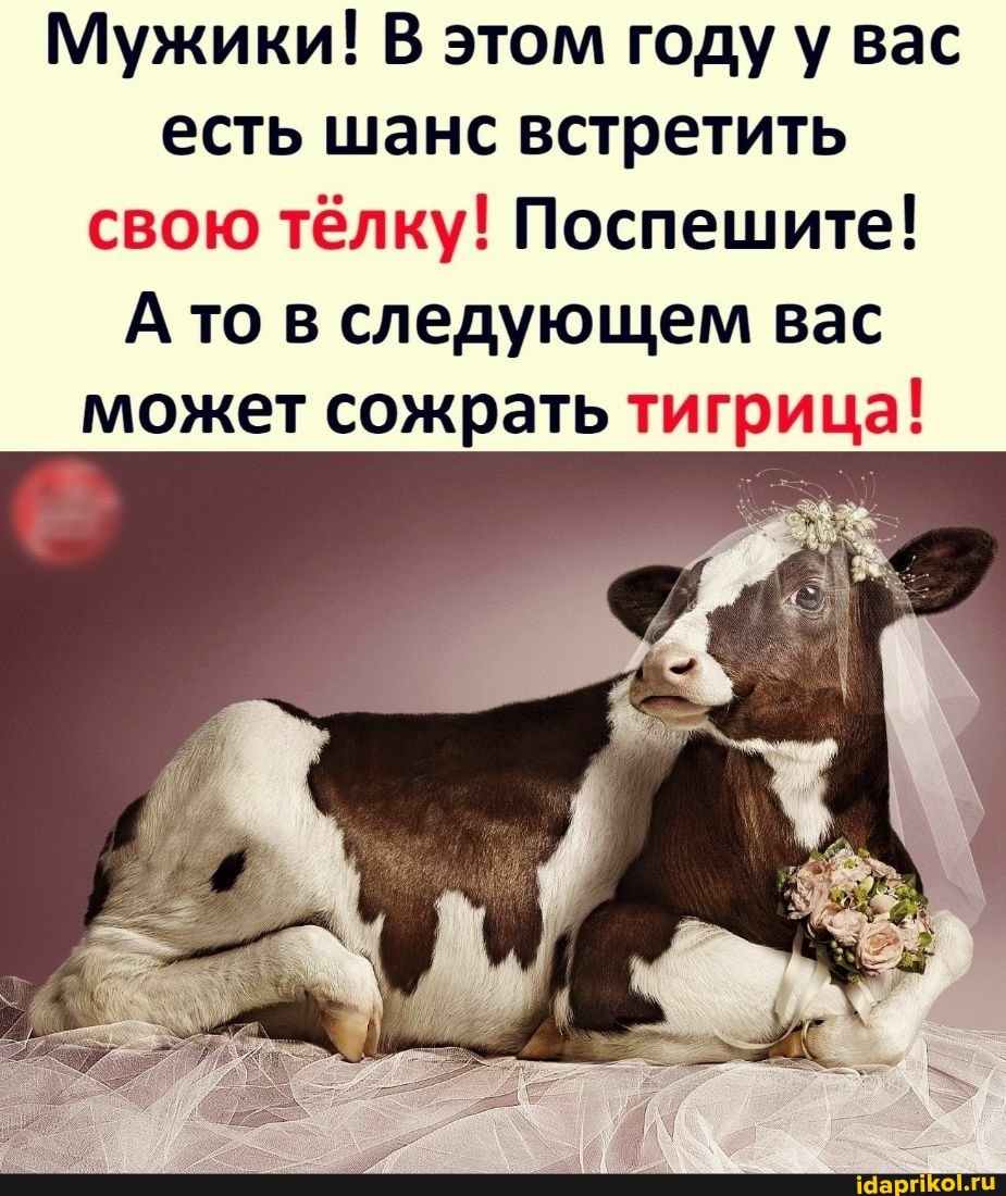Мужики! В этом году у вас есть шанс встретить свою тёлку! Поспешите!
А то в следующем вас может сожрать тигрица!