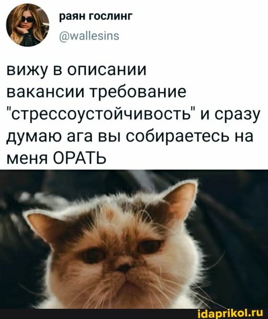 раян гослинг
вижу в описании
вакансии требование
"стрессоустойчивость" и сразу думаю ага вы собираетесь на меня ОРАТЬ