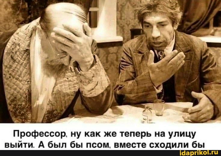 Профессор. ну как же теперь на улицу выйти. А был бы псом. вместе сходили бы