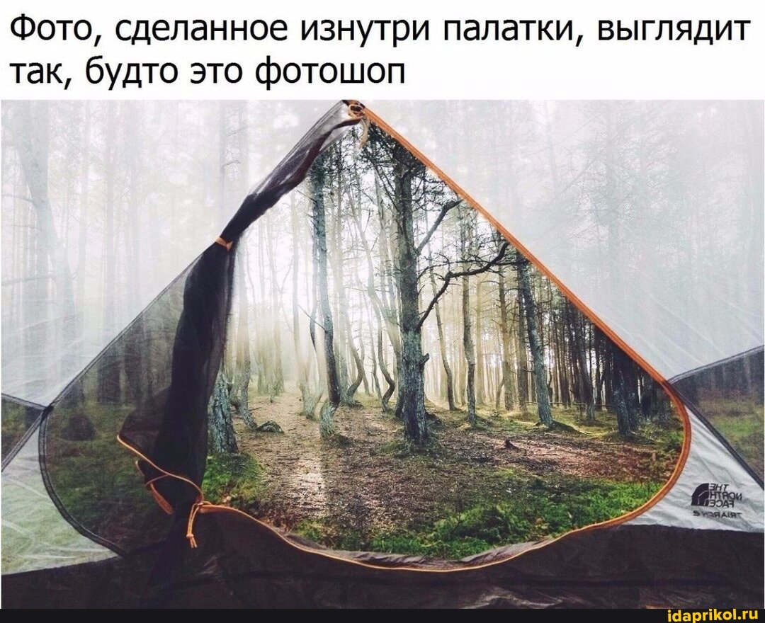 Фото, сделанное изнутри палатки, выглядит так, будто это фотошоп