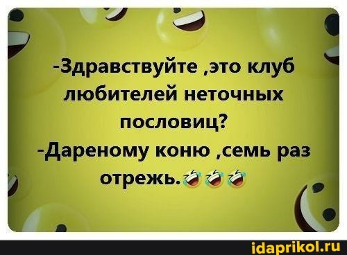 -Здравствуйте 'это клуб любителей неточных пословиц?
-Дареному коню 'семь раз отрежь. 2