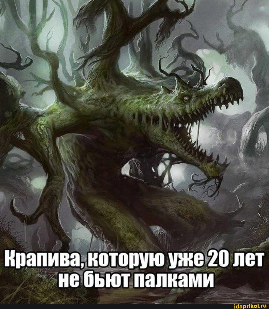 Крапива, которую уже 20 лет не бьют палками
