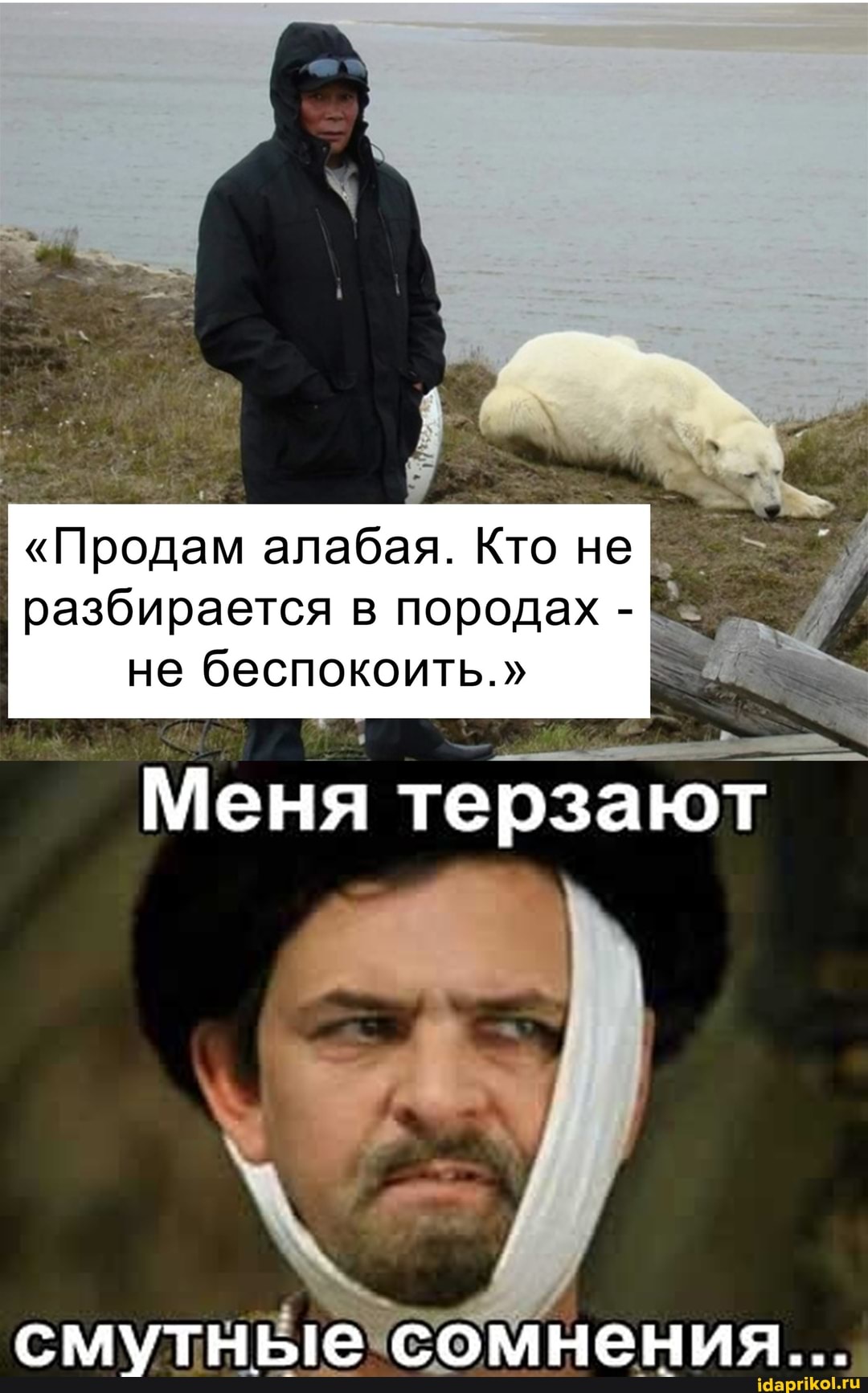 "Продам алабая. Кто не
разбирается в породах - не беспокоить."
Меня терзают
смутные сомнения...