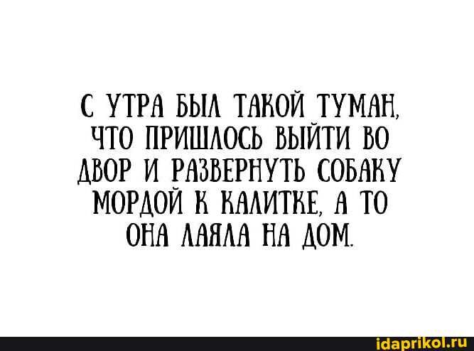УТРА БЫЛ ТАКОЙ ТУМАН,
ЧТО ПРИШЛОСЬ ВЫЙТИ ДВОР И РАЗВЕРНУТЬ СОБАКУ МОРДОЙ КАЛИТЕЕ, А ТО ОНА ЛАЯЛА НА ДОМ.