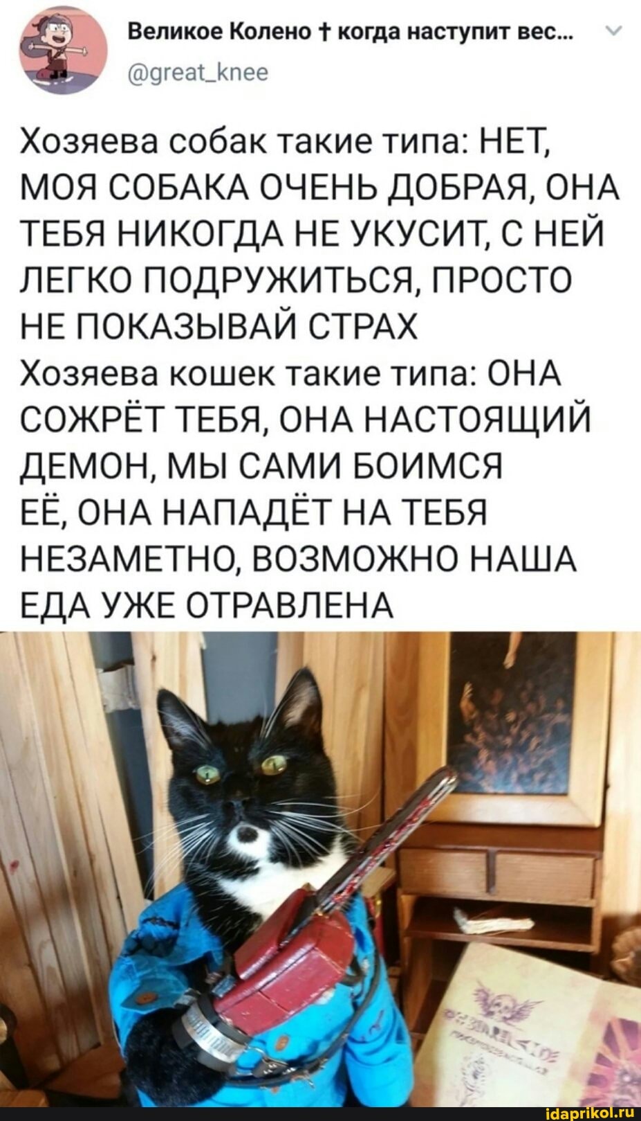 Великое Колено + когда наступит вес...
Клее
Хозяева собак такие типа: НЕТ,
МОЯ СОБАКА ОЧЕНЬ ДОБРАЯ, ОНА ТЕБЯ НИКОГДА НЕ УКУСИТ, С НЕЙ ЛЕГКО ПОДРУЖИТЬСЯ, ПРОСТО НЕ ПОКАЗЫВАЙ СТРАХ Хозяева кошек такие типа: ОНА СОЖРЁТ ТЕБЯ, ОНА НАСТОЯЩИЙ ДЕМОН, МЫ САМИ БОИМСЯ ЕЁ, ОНА НАПАДЁТ НА ТЕБЯ НЕЗАМЕТНО, ВОЗМОЖНО НАША ЕДА УЖЕ ОТРАВЛЕНА