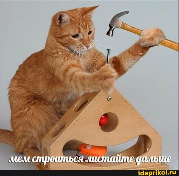 месм строшться листайте дальше
