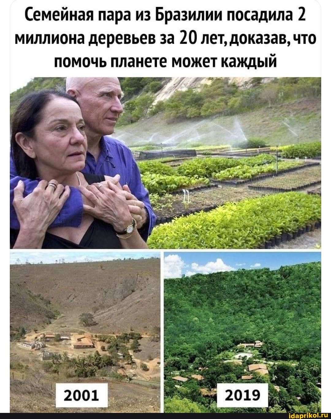 (Семейная пара из Бразилии посадила 2 миллиона деревьев за 20 лет, доказав, что
помочь планете может каждый