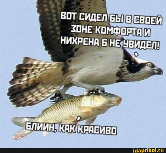 ВОТ СИДЕЛ БЫ В СВОЕЙ ЗОНЕ КОМФОРТВ НИХРЕНА НЕ ЧВИДЕЛ!
БЛИИН, КАК КРАСИВО
