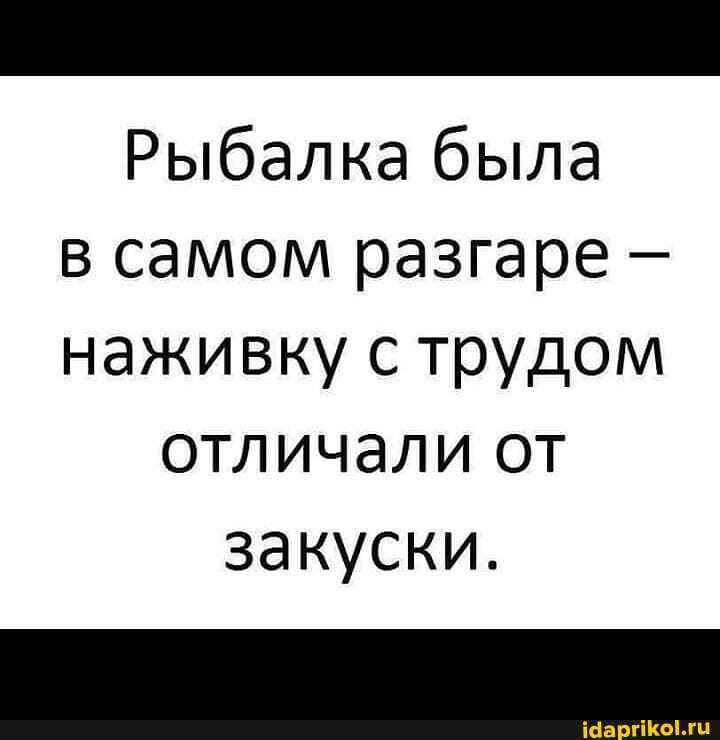 Рыбалка была в самом разгаре наживку с трудом отличали от закуски.