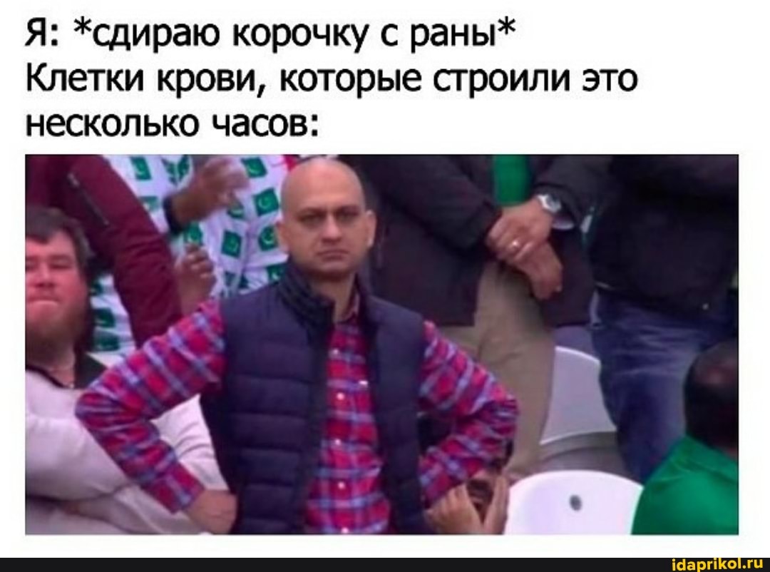 Я: *сдираю корочку с раны*
Клетки крови, которые строили это несколько часов: