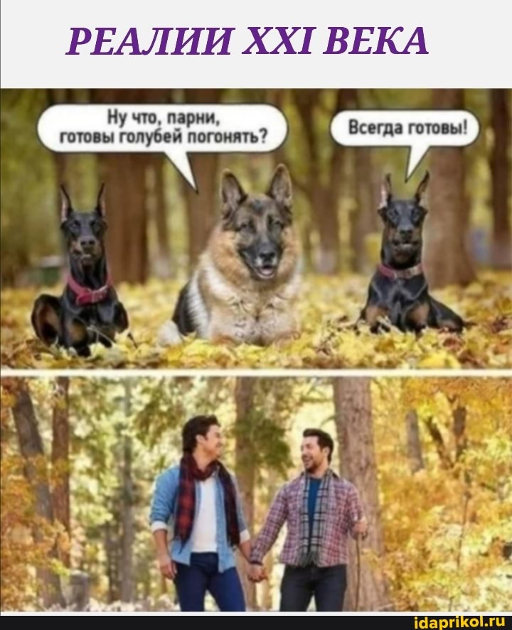 РЕАЛИИ ВЕКА
Ну что, парни, готовы голубей погонять?
Всегда готовы!