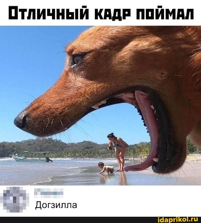 Отличный КАДР ПОЙМАЛ
Догзилла