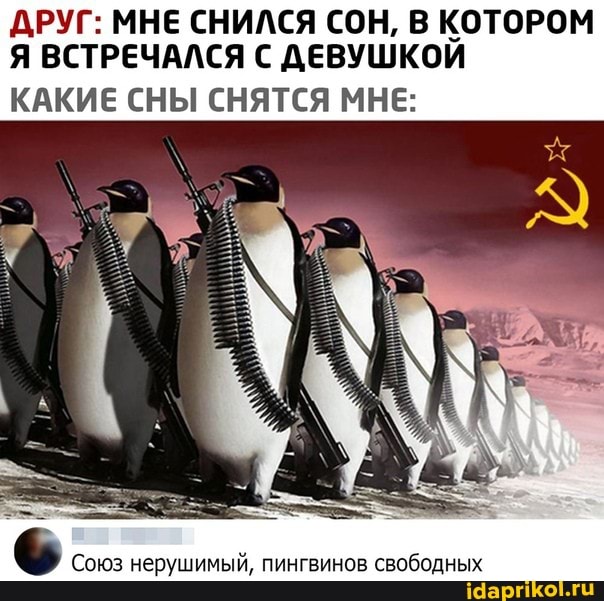 ДРУГ: МНЕ СНИЛСЯ СОН, В КОТОРОМ
Я ВСТРЕЧАЛСЯ С ДЕВУШКОЙ
КАКИЕ СНЫ СНЯТСЯ МНЕ:
Союз нерушимый, пингвинов свободных