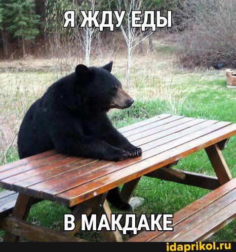 Я ЖДУ ЕДЫ
В МАКДАКЕ.