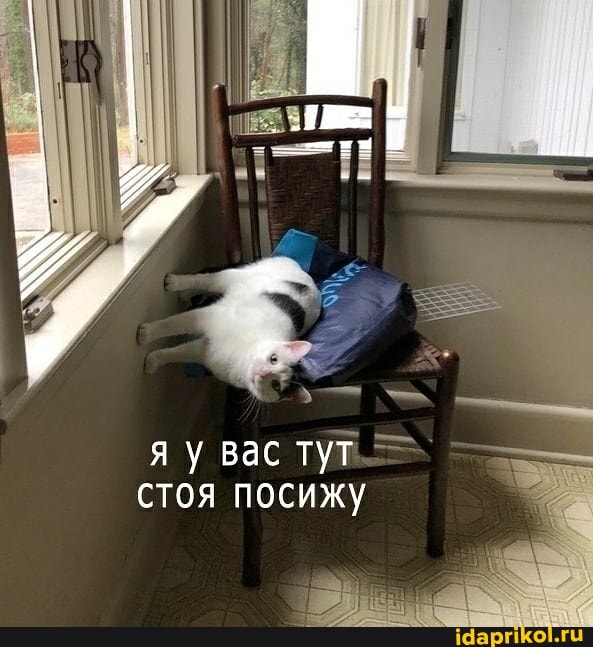 яу вас тут
стоя посижу