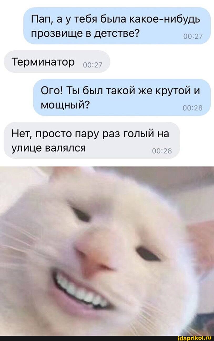Пап, ау тебя была какое-нибудь прозвище в детстве?
Терминатор
Ого! Ты был такой же крутой и мощный?
Нет, просто пару раз голый на улице валялся