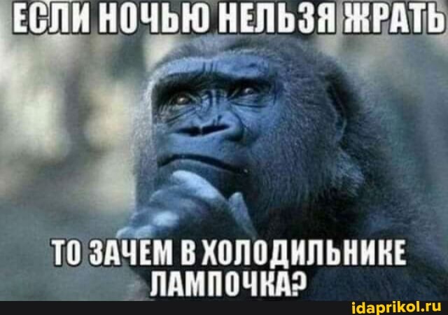 ЕСЛИ
ЗАЧЕМ В ХОЛОДИЛЬНИКЕ ЛАМПОЧКА?