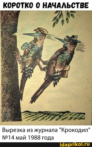 КОРОТКО 0 НАЧАЛЬСТВЕ
Вырезка из журнала "Крокодил" май 1988 года