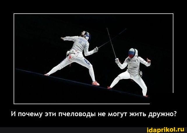 почему эти пчеловоды не могут жить дружно?