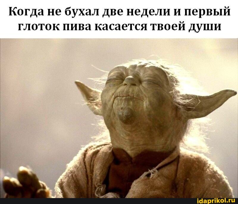 Когда не бухал две недели и первый глоток пива касается твоей души