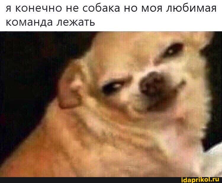 я конечно не собака но моя любимая команда лежать