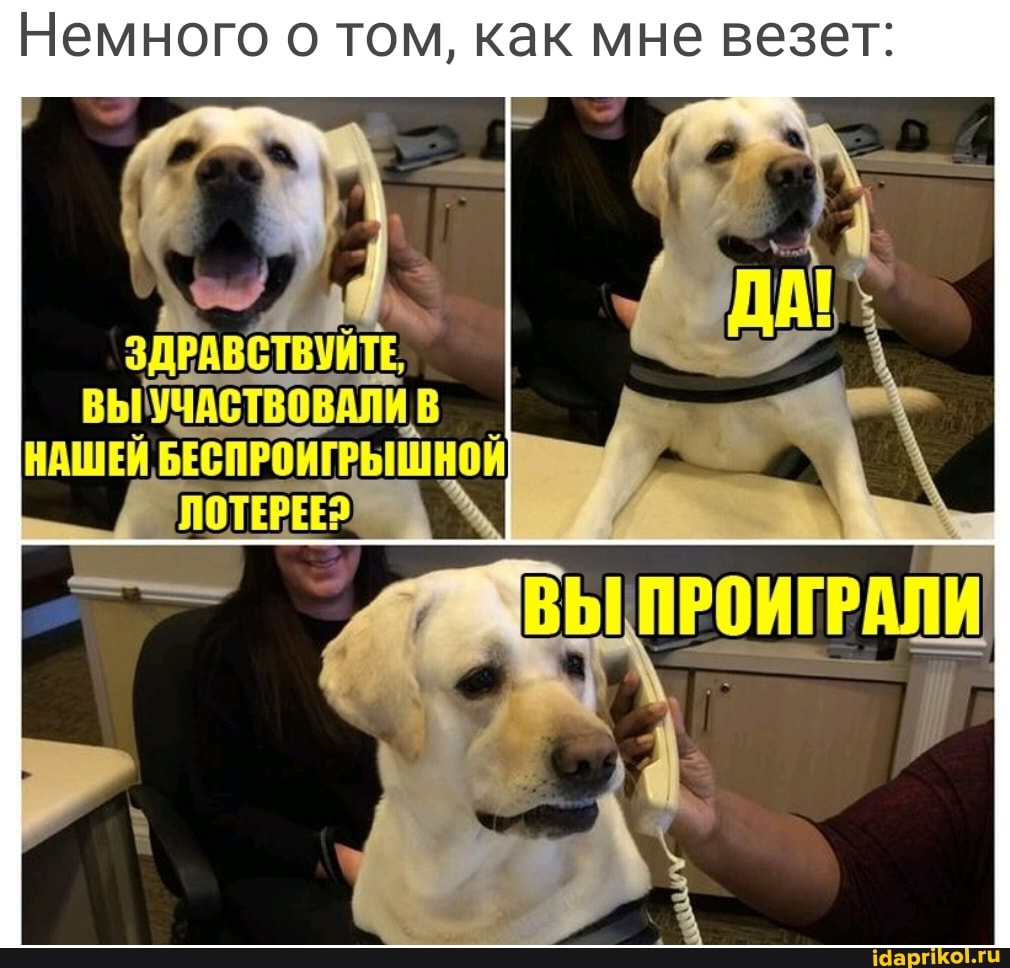 Немного о том, как мне везет:
ЗДРАВСТВУЙТЕ ВЫУЧАСТВОВАЛИ В