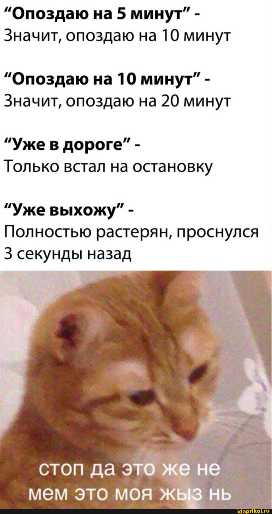 "Опоздаю на 5 минут" -
Значит, опоздаю на 10 минут
"Опоздаю на 10 минут" -
Значит, опоздаю на 20 минут
"Уже в дороге" -
Только встал на остановку
"Уже выхожу" -
Полностью растерян, проснулся
3 секунды назад
стоп да это же не мем это моя