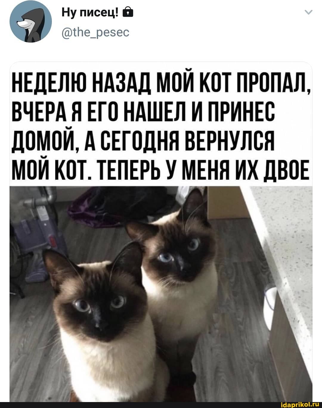 Ну писец! @
(@{Пе_резес
НЕДЕЛЮ НАЗАД МОЙ КОТ ПРОПАЛ,
ВЧЕРА ЕГО НАШЕЛ И ПРИНЕС
ДОМОЙ, А СЕГОДНЯ ВЕРНУЛСЯ МОИ КОТ. ТЕПЕРЬ У МЕНЯ ИХ ДВОЕ
