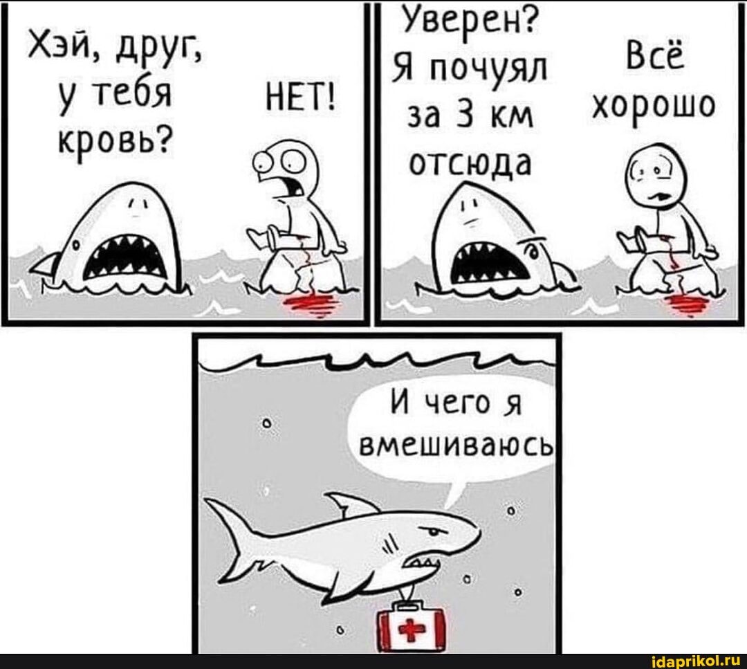 Уверен?
Я почуял км хорошо
отсюда
Хэй, друг, у тебя НЕТ! кровь?
И чего я вмешиваюсь
