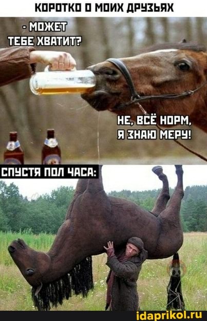 КОРОТКО МОИХ ДРУЗЬЯХ
- МОЖЕТ ТЕБЕ ХВАТИТ?
НЕ, ВСЁ НОРМ,
Я ЗНАЮ МЕРУ!
СПУСТЯ ПОЛ ЧАСА: