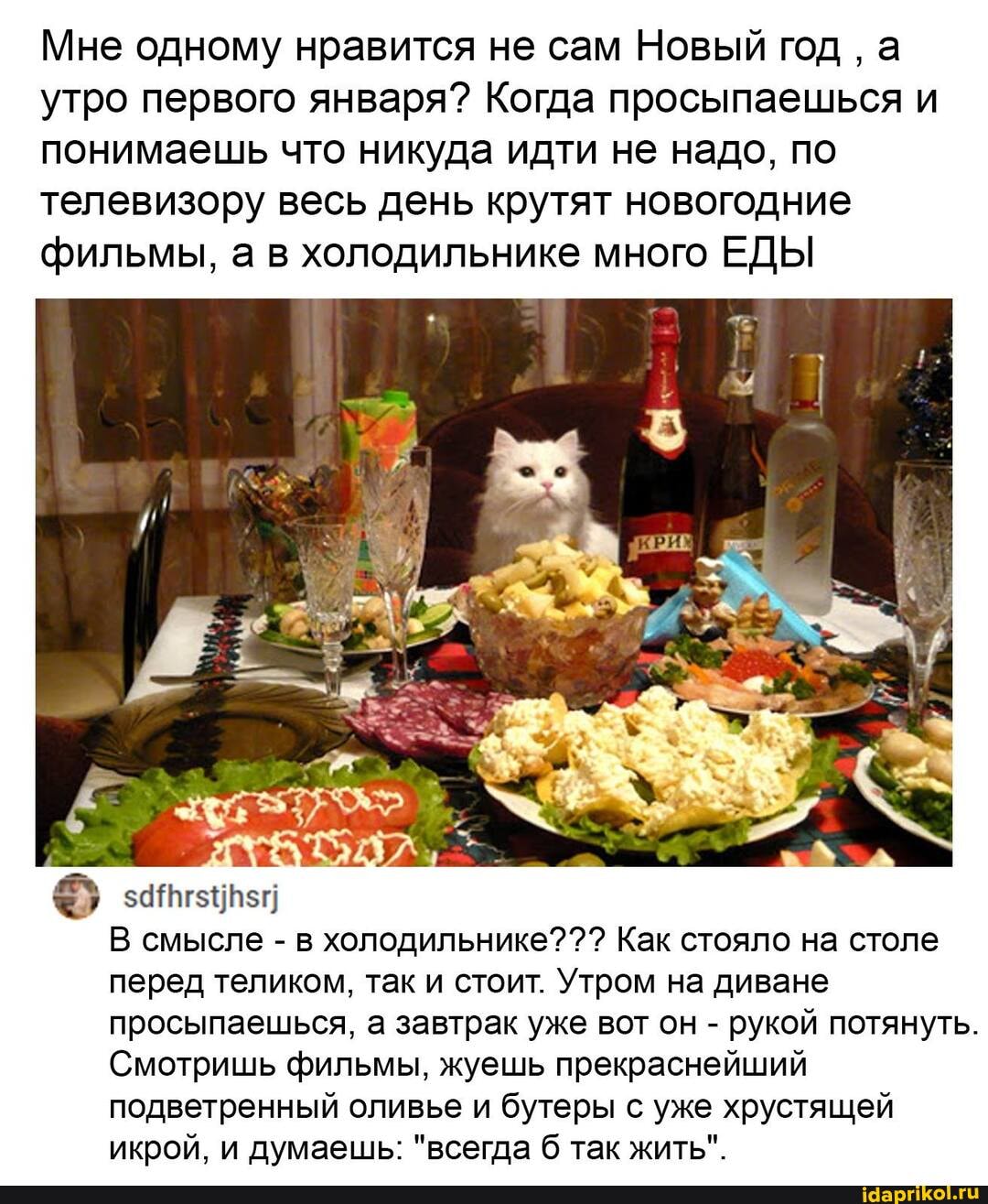 Мне одному нравится не сам Новый год а утро первого января? Когда просыпаешься и понимаешь что никуда идти не надо, по телевизору весь день крутят новогодние фильмы, а в холодильнике много ЕДЫ
В смысле - в холодильнике??? Как стояло на столе перед теликом, так и стоит. Утром на диване просыпаешься, а завтрак уже вот он - рукой потянуть.
Смотришь фильмы, жуешь прекраснейший подветренный оливье и бутеры с уже хрустящей икрой, и думаешь: "всегда б так жить".