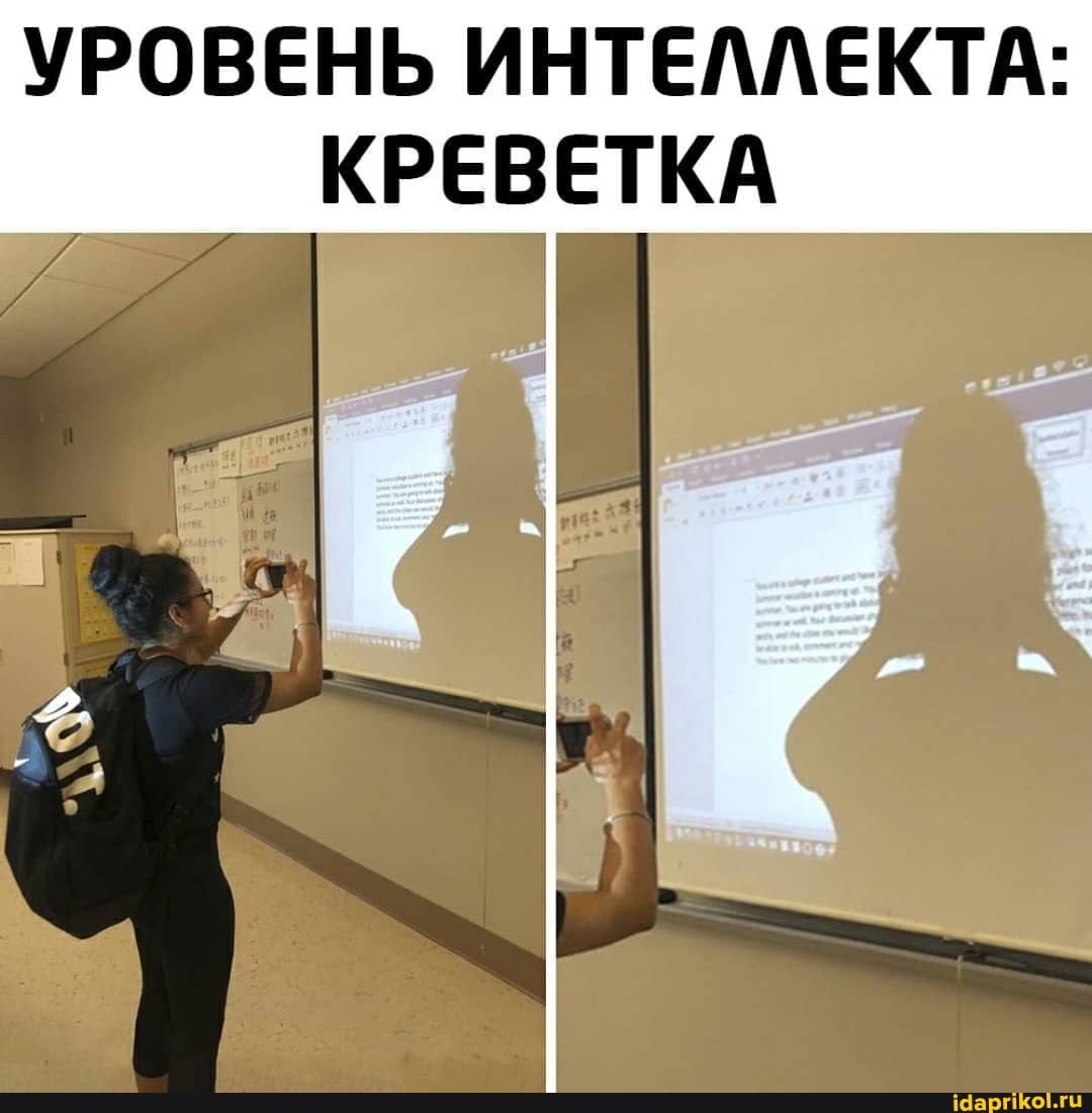 УРОВЕНЬ ИНТЕЛЛЕКТА:
КРЕВЕТКА