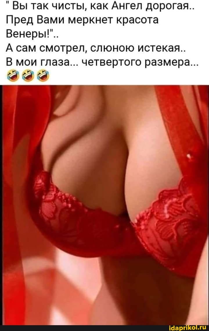 "Вы так чисты, как Ангел дорогая.
Пред Вами меркнет красота
Венеры!"..
А сам смотрел, слюною истекая..
В мои глаза... четвертого размера...