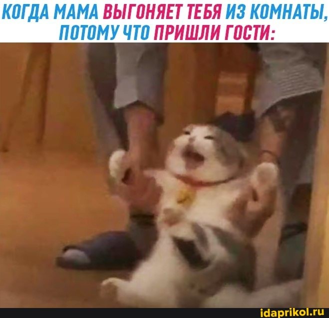 КОГДА МАМА ВЫГОНЯЕТ ТЕБЯ ИЗ КОМНАТЫ,
ПОТОМУ ЧТО ПРИШЛИ ГОСТИ: