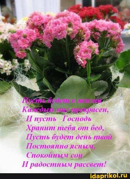 Господь
Хранит тебя. от бед,
Пусть будет депь твой
Постоянно
Спокойным сой
И радостным рассвет!
