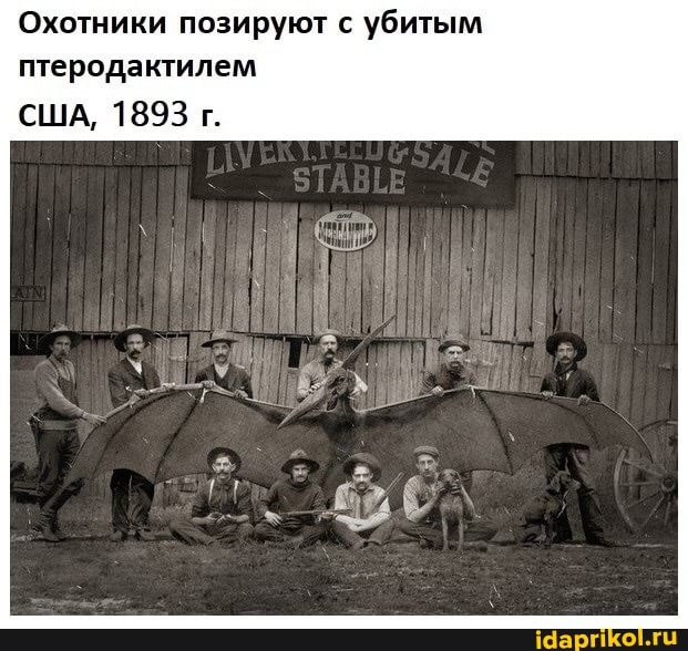 Охотники позируют с убитым птеродактилем
США, 1893 г.