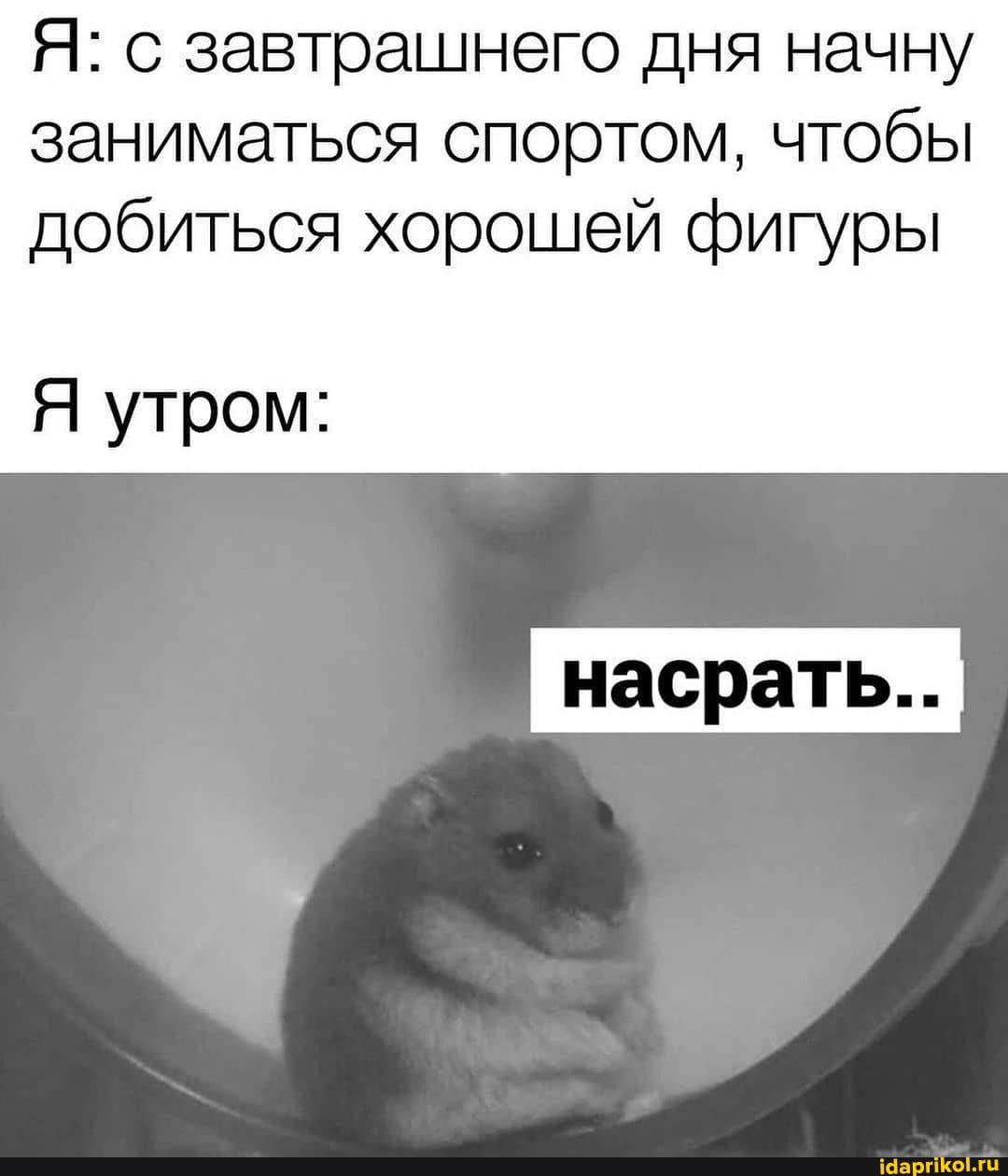 Я: с завтрашнего дня начну заниматься спортом, чтобы добиться хорошей фигуры
насрать...
Я утром: