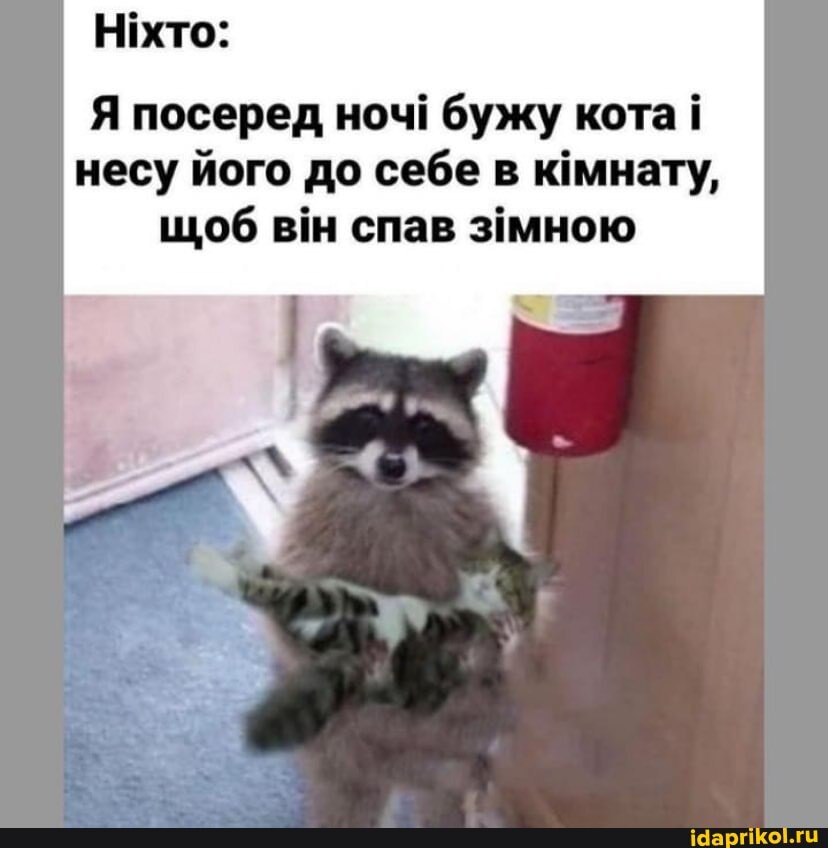 Я посеред ноч! бужу кота несу його до себе в кмнату, щоб вм спав змною