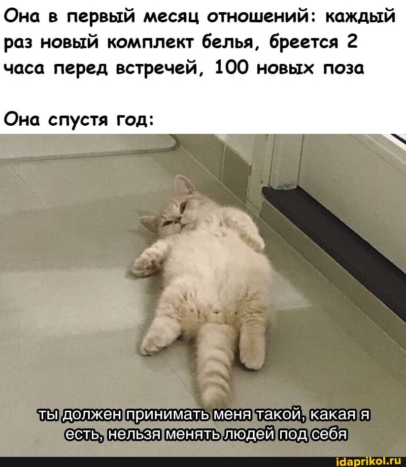 Она в первый месяц отношений: каждый раз новый комплект белья, бреется 2 часа перед встречей, 100 новых поза
Она спустя год:
ты должен принимать меня такой какая я есть. нельзя менять людей под себя
