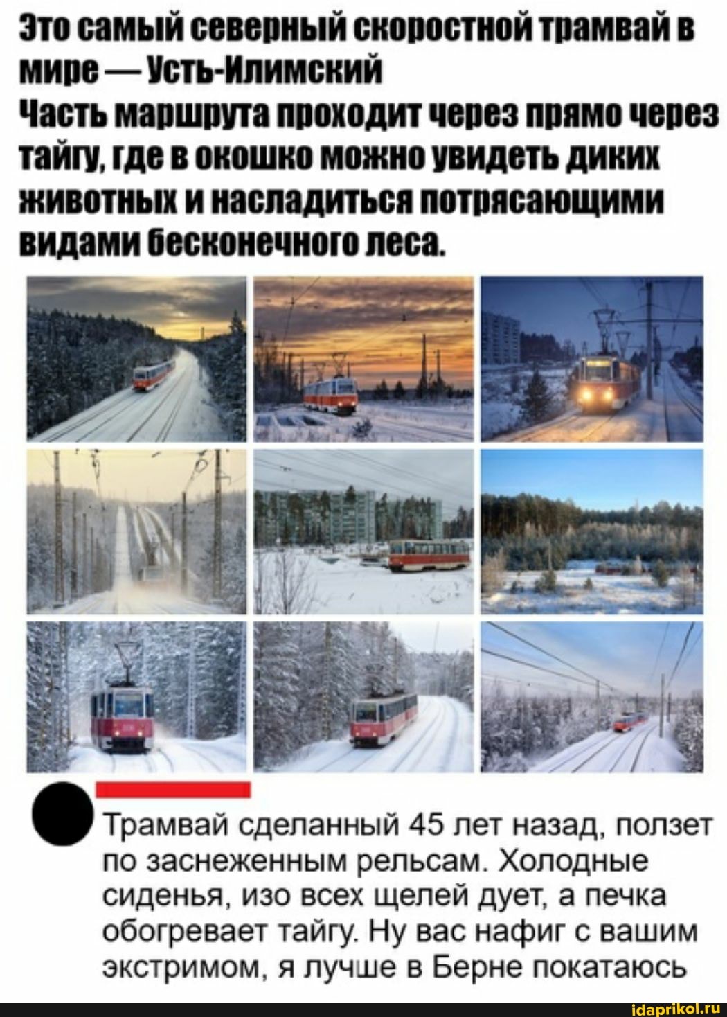 Это самый северный скоростной трамвай в мире - Усть-Илимский
Часть маршрута проходит через прямо через тайгу, где в окошко можно увидеть диких животных и насладиться потрясающими видами бесконечного леса.
Трамвай сделанный 45 лет назад, ползет по заснеженным рельсам. Холодные сиденья, изо всех щелей дует, а печка обогревает тайгу. Ну вас нафиг с вашим экстримом, я лучше в Берне покатаюсь