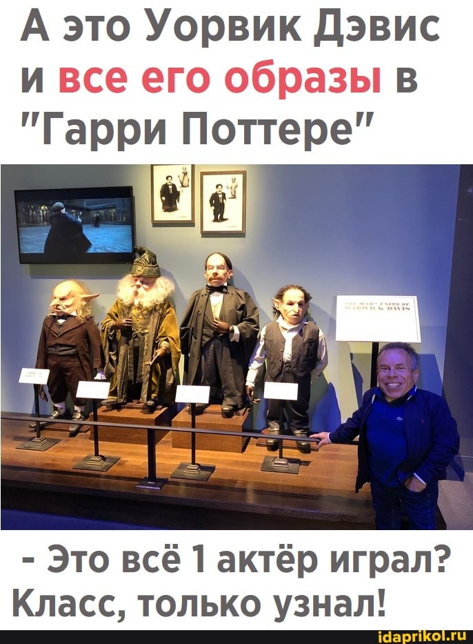 А это Уорвик Дэвис и все его образы в
"Гарри Поттере"
- Это всё 1 актёр играл?
Класс, только узнал!