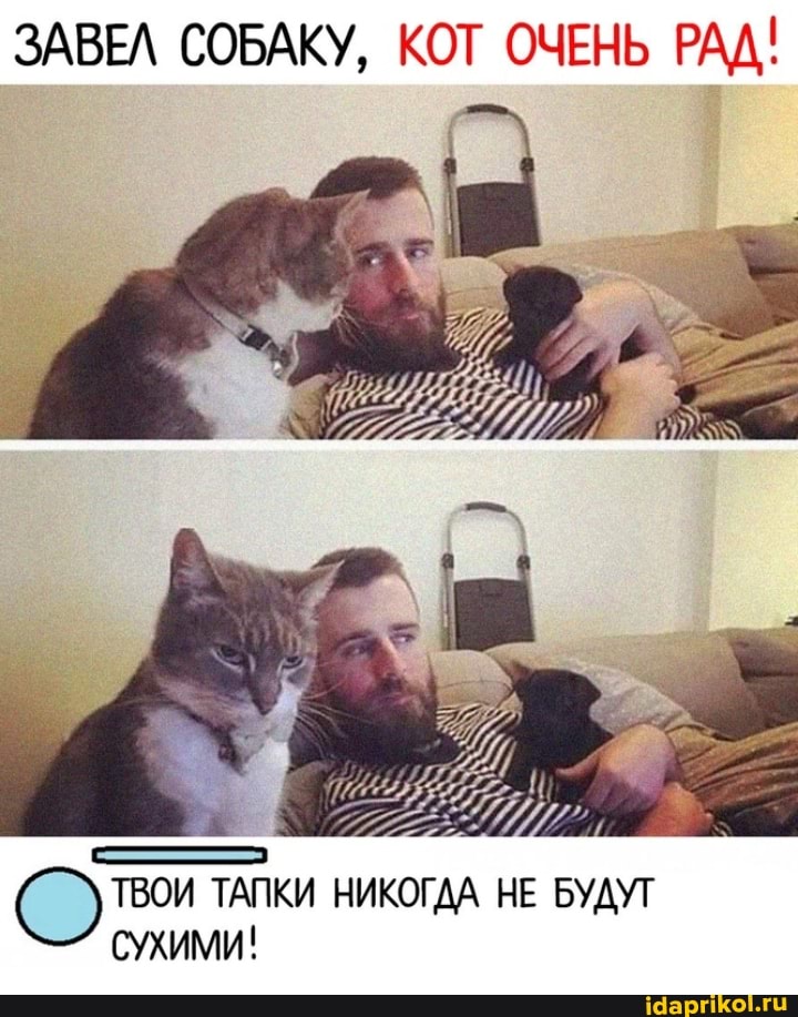 ЗАВЕЛ СОБАКУ, КОТ ОЧЕНЬ РАД!
ТВОИ ТАПКИ НИКОГДА НЕ БУДУТ СУХИМИ!