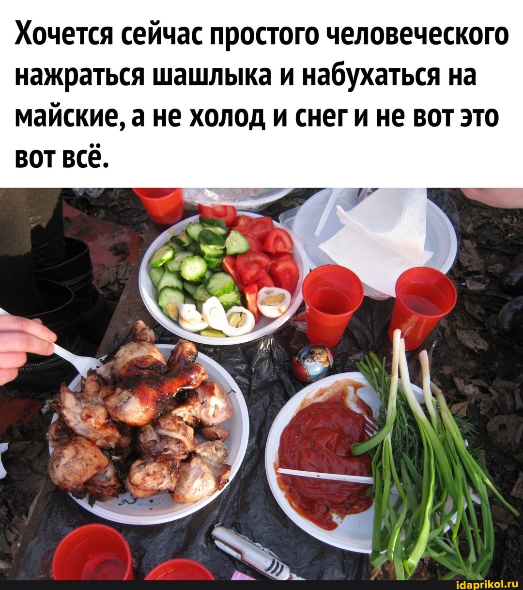 Хочется сейчас простого человеческого нажраться шашлыка и набухаться на майские, а не холод и снеги не вот это
ВОТ ВСЁ.