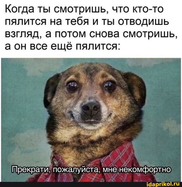 Когда ты смотришь, что кто-то
пялится на тебя и ты отводишь
взгляд, а потом снова смотришь,
а он все ещё пялится:
Прекрати, пожалуйста, мне'некомфортно
