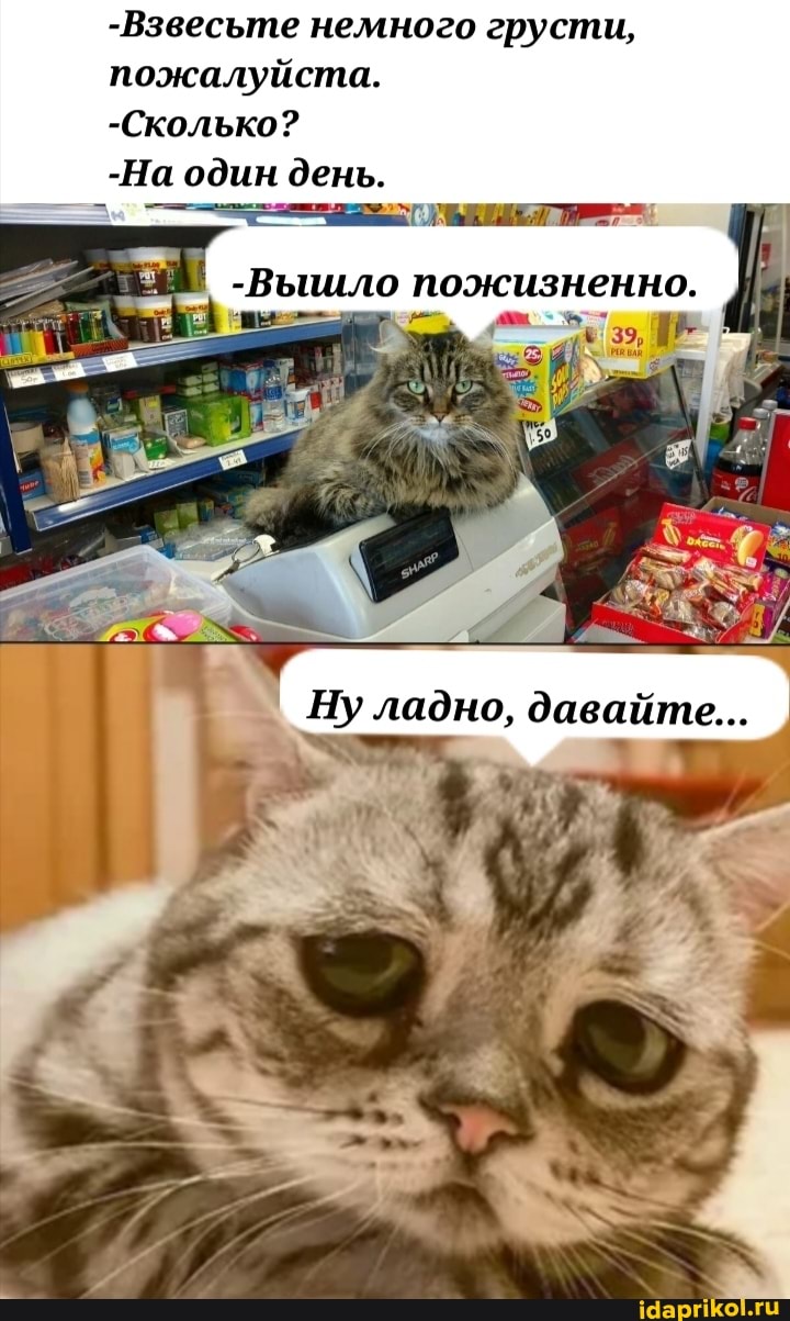 -Взвесьте немного грусти, пожалуйста.
-Сколько?
-На один день.