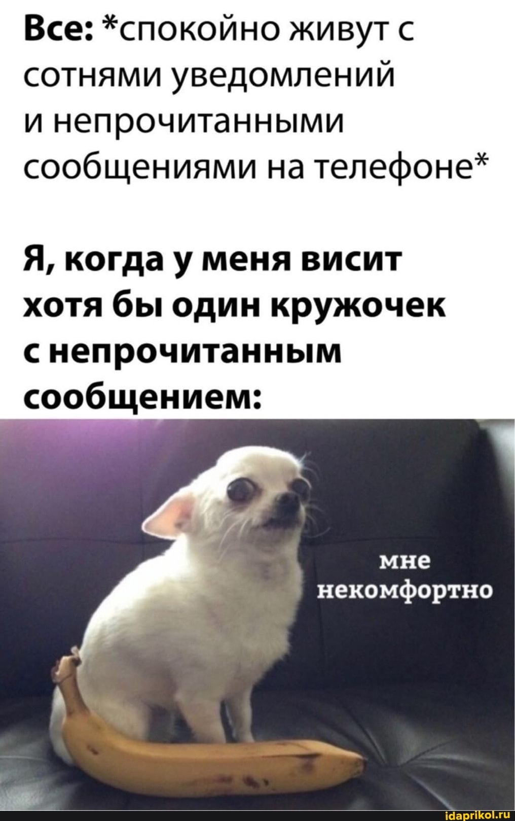 Все: *спокойно живут с сотнями уведомлений
и непрочитанными сообщениями на телефоне*
Я, когда у меня висит хотя бы один кружочек непрочитанным сообщением:
мне
некомфортно