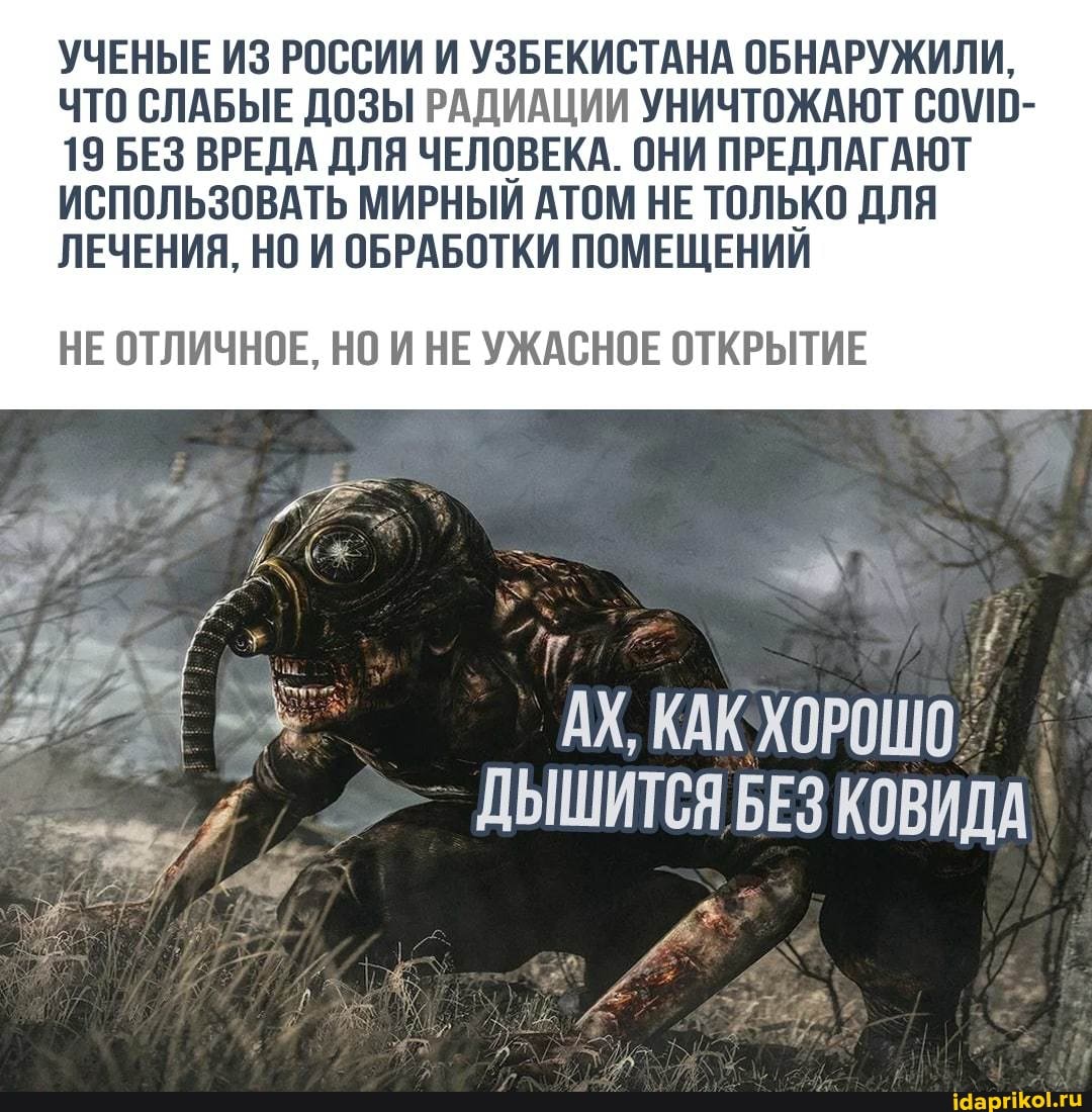 УЧЕНЫЕ ИЗ РОССИИ И УЗБЕКИСТАНА ОБНАРУЖИЛИ,
ЧТО СЛАБЫЕ ДОЗЫ РАДИАЦИИ УНИЧТОЖАЮТ
19 БЕЗ ВРЕДА ДЛЯ ЧЕЛОВЕКА. ОНИ ПРЕДЛАГАЮТ ИСПОЛЬЗОВАТЬ МИРНЫЙ АТОМ НЕ ТОЛЬКО ДЛЯ ЛЕЧЕНИЯ, НО И ОБРАБОТКИ ПОМЕЩЕНИИ
НЕ ОТЛИЧНОЕ, НО И НЕ УЖАСНОЕ ОТКРЫТИЕ
АХ, КАК ХОРОШО.