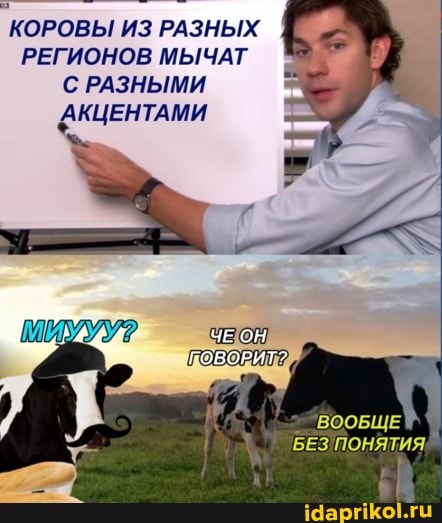 КОРОВЫ ИЗ РАЗНЫХ РЕГИОНОВ МЫЧАТ С РАЗНЫМИ АКЦЕНТАМИ
'БЕЗ'ПОНЯТИЯ,